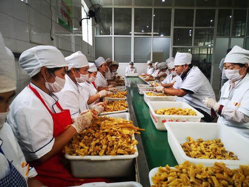 赤城50家龙头企业之一的斌赋食品生产豆制品生产车间.